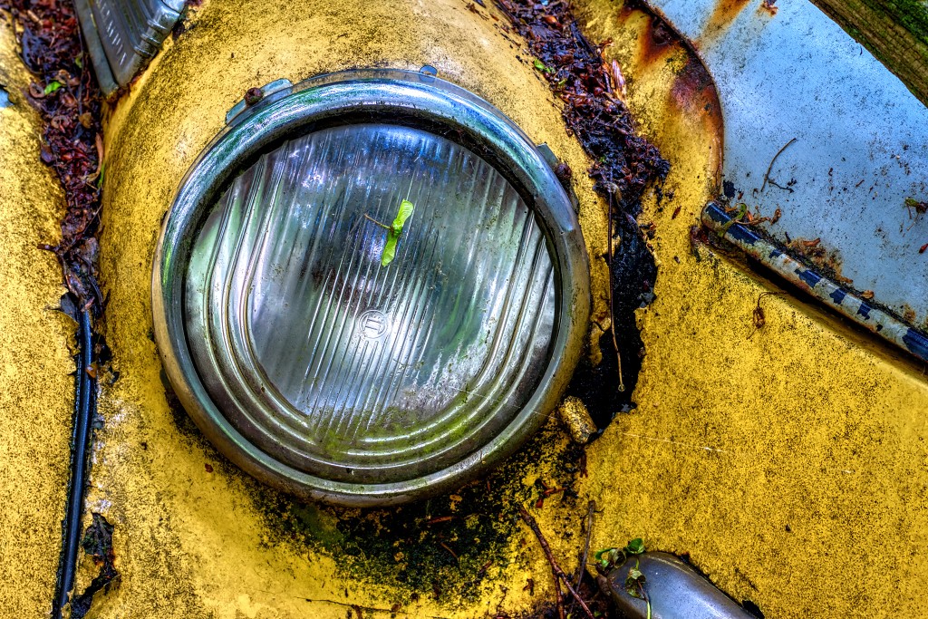 HDR Auto Skulpturen Park museum Neandertal oldtimer urbex decay abandoned derelict abandonne Michael Fröhlich froehlich Duitsland deutschland kunst art